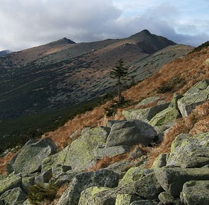 nizke tatry