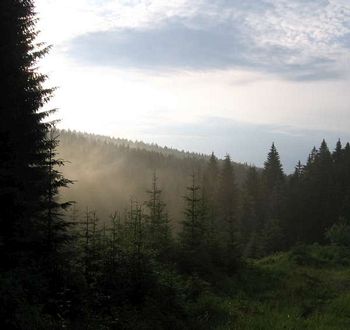 sumava