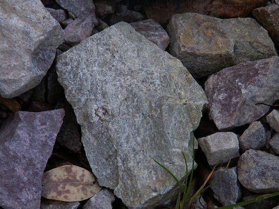 65