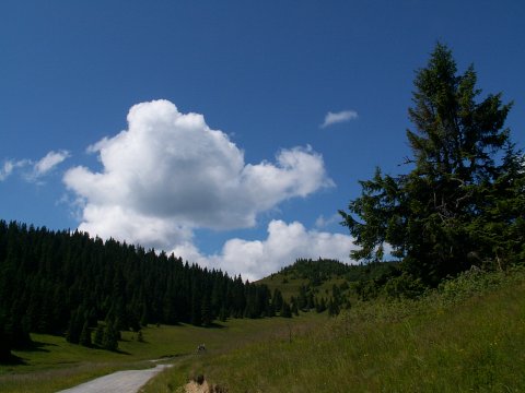 269