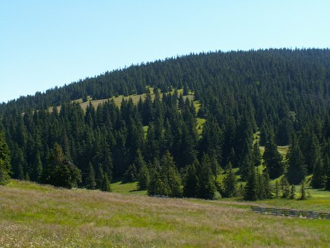 280