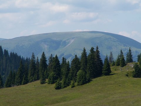 301