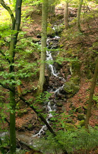 panorama_mini (105K)